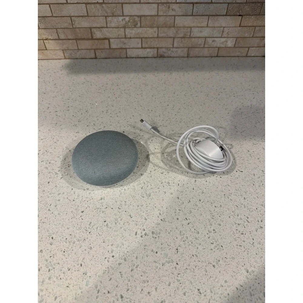 Google‎ Home Mini HOA Smart Speaker